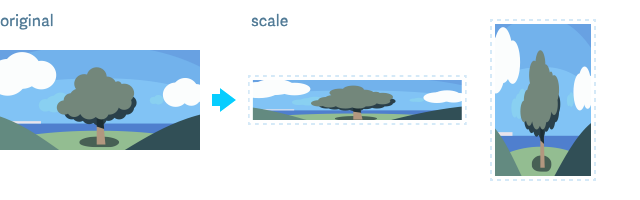 scale illustration